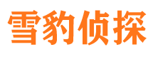 薛城外遇调查取证